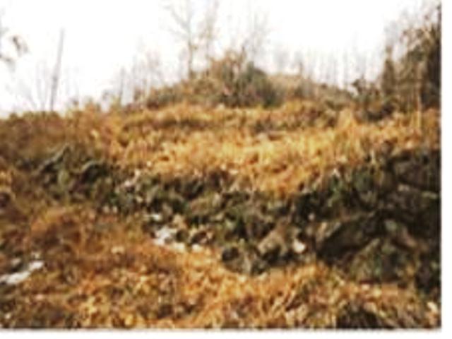 고모리 산성은 북으로 철원, 포천일대와 남으로 한강일대를 연결하는 통로를 장악하기 편리한 비득재에 쌓은 고대의 군사상 요충지