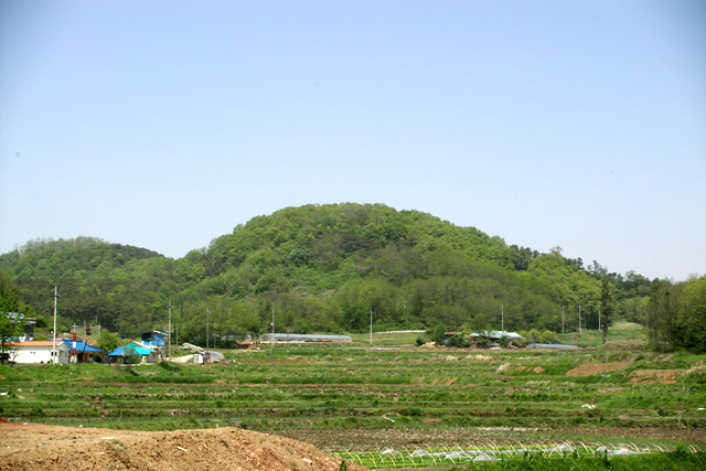 학술조사 결과 자미산 정상부 주위를 둘러싼    내성과 능선을 따라 이루어진 외성으로 이루어  졌으며 성내에는 문지 등의 각종시설물이 확인 되었고, 청동기시대부터 조선시대에 이르기까지 다양한 유물이 출토됨 방조제 공사로 석재들이 유출되어 석축을 찾아보기 힘드나 성벽하부는   매몰되어 확인되고 삼국의 격전지였던 아산만에 위치하여 역사적, 고고학적으로 중요 하므로   문화재로 지정