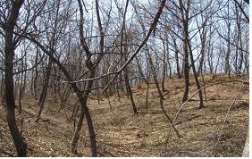 용성리성지 동벽