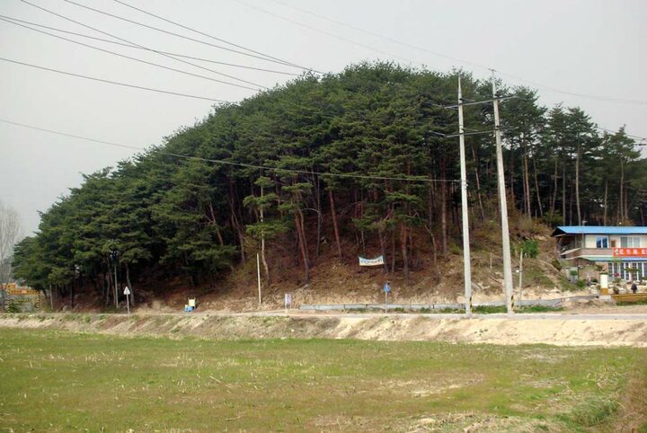 영진리 고분군 전경