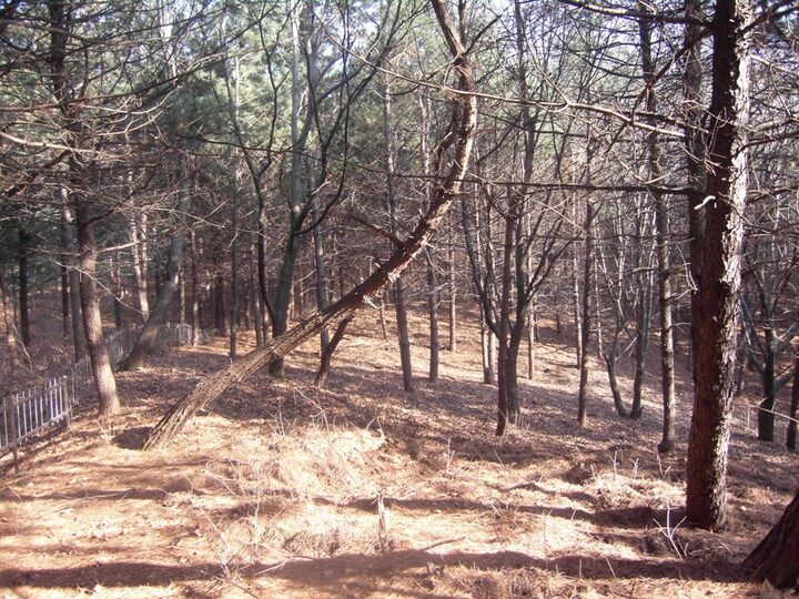 춘천증리고분군/2012/03/15