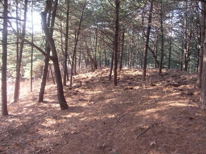 춘천증리고분군/2012/03/15