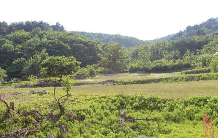 보광리 분청자요지