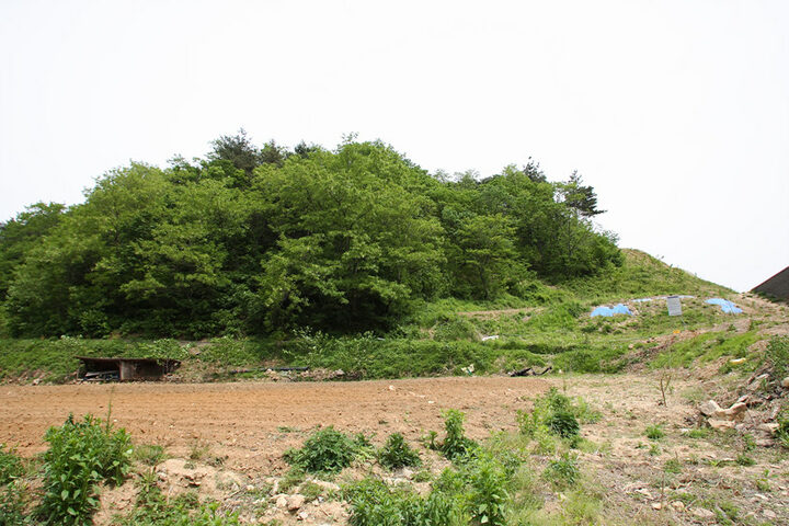 와요지 전경