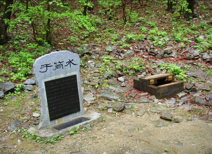 우통수 근경