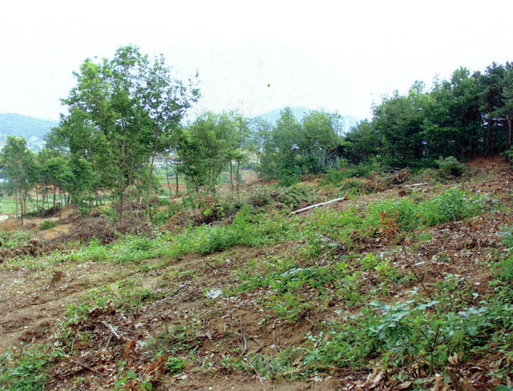 근경