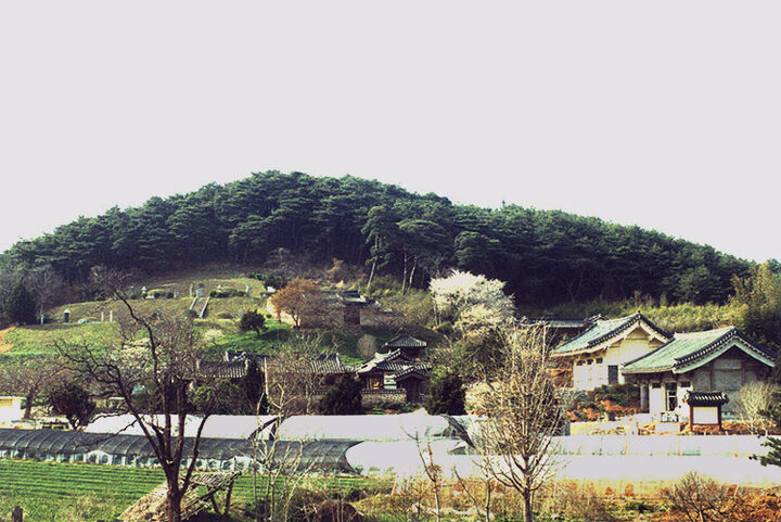 묘역전경