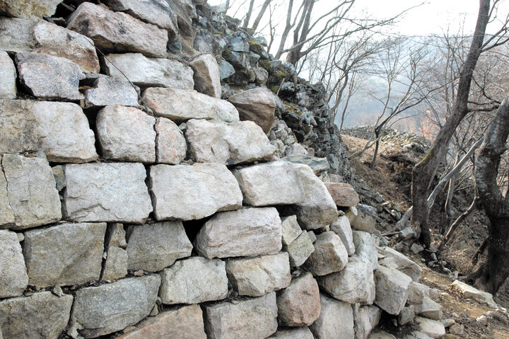 금산백령성