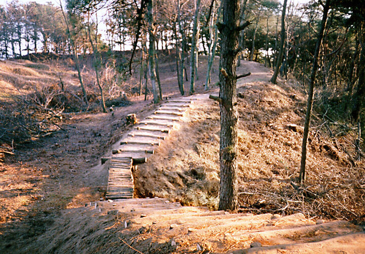 황화산성