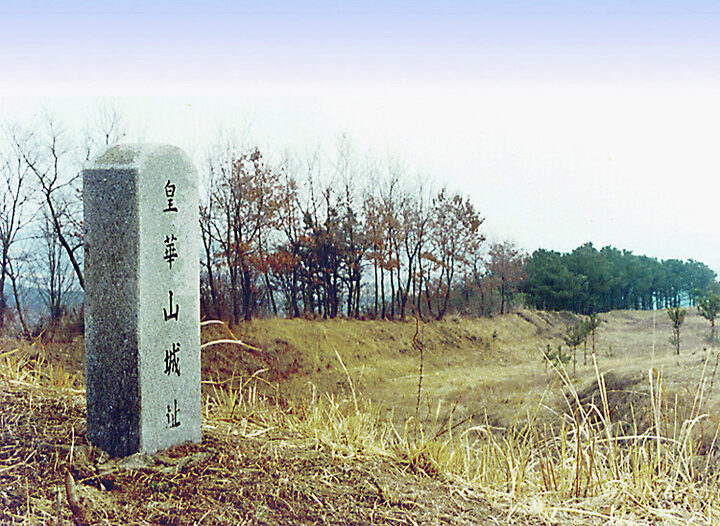 황화산성비