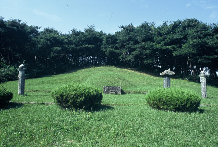 조선후기 실학자이며 과학자인 홍대용(1731~1783)과 그의 부인 한산 이씨가 함께 묻힌 묘,  무덤은 원형이고, 무덤 앞에는 상석(床石)과 망주석(望柱石), 비석(碑石)이 서있다. 비석을 세운 연대는 1857년(철종 8년)이고, 글을 지은이는 김홍근이다.
