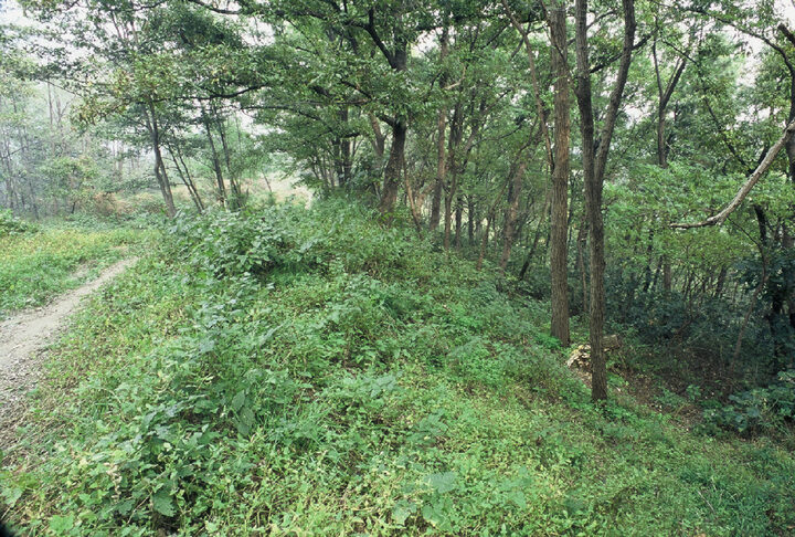 테뫼식 산성과 포곡식 산성(包谷式 山城)이 함께 연결된 산성이다./ 테뫼식 산성의 규모는 동서 길이 300m에 남북 너비 150m이며 성의 둘레는 약 750m 정도이다. 포곡식 산성은 길이가 1,030m로 테뫼식 산성의 동서 양단에서 시작되어 그 바깥쪽에 연장되어 있는 능선에 성벽을 쌓았으며 북쪽의 경사면 밑에 있는 좁다란 계곡을 둘러 쌓았다. 성벽의 구조는 테뫼식 산성에서는 약간의 돌덩이를 흙과 혼합하여 쌓은 부분도 조사되었고, 포곡식 산성에서는 흙을 층층이 다져 쌓았다. 두가지 형식의 산성 가운데 테뫼식 산성이 먼저 쌓은 것이고, 포곡식이 뒤에 쌓은 것으로 추정된다.