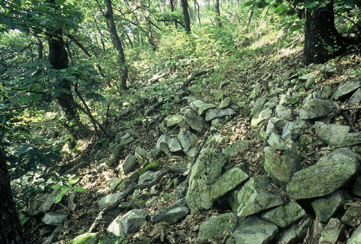 세성산 정상부를 감싸고 축조한 내성(內城)과 그 남쪽 산기슭에 외성(外城)을 갖추고 있는 복합산성이다. 내성은 험준한 지형을 이용하여 자연할석으로 쌓았으며 둘레는  350m이고, 높이는 3m정도이다. 내성 동쪽에는 너비가 2.8m인 동문터가 확인되고 있다. 외성은 내성 남쪽 벽의 외곽에 흙으로 쌓았는데, 높이는 1.5m이다. 내성에서는 쇠뿔모양의 손잡이와 무늬가 없거나 또는 격자 무늬가 있는 토기조각과 기와조각이 발견되며, 외성에서는 연질의 적갈색 토기와 경질의 토기조각이 수습되고 있다.