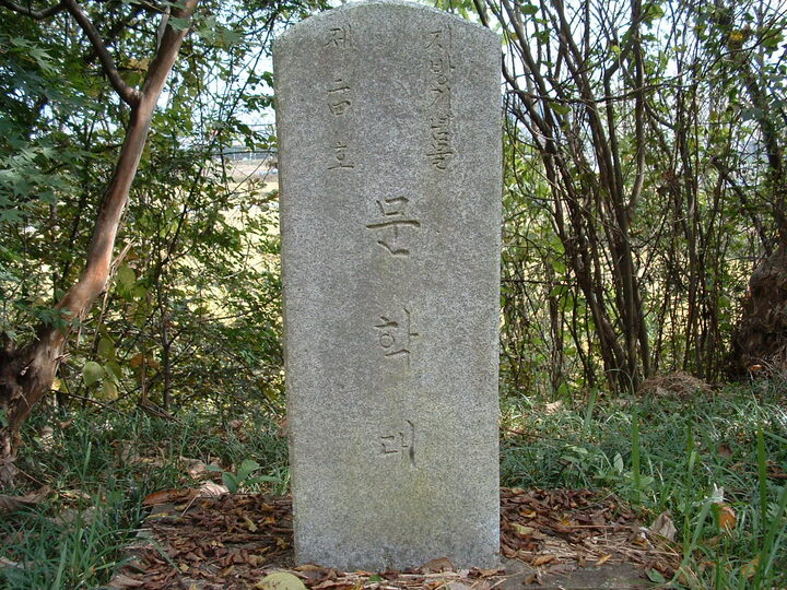 문학대