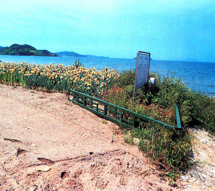 대항리패총