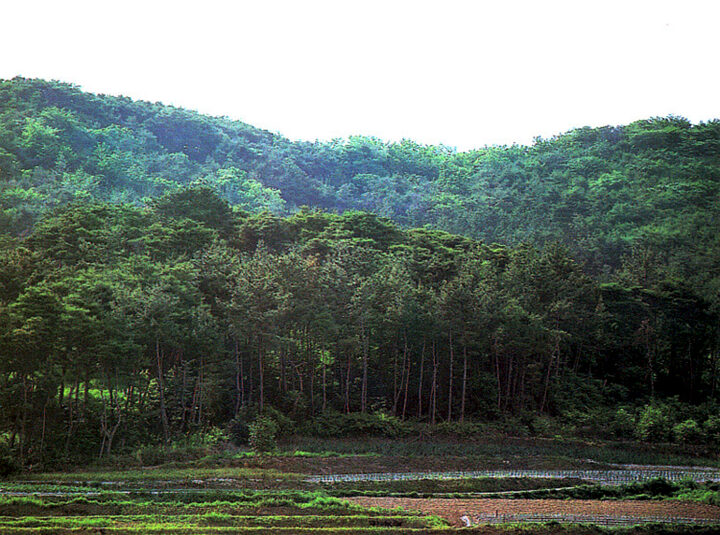 우덕리산성