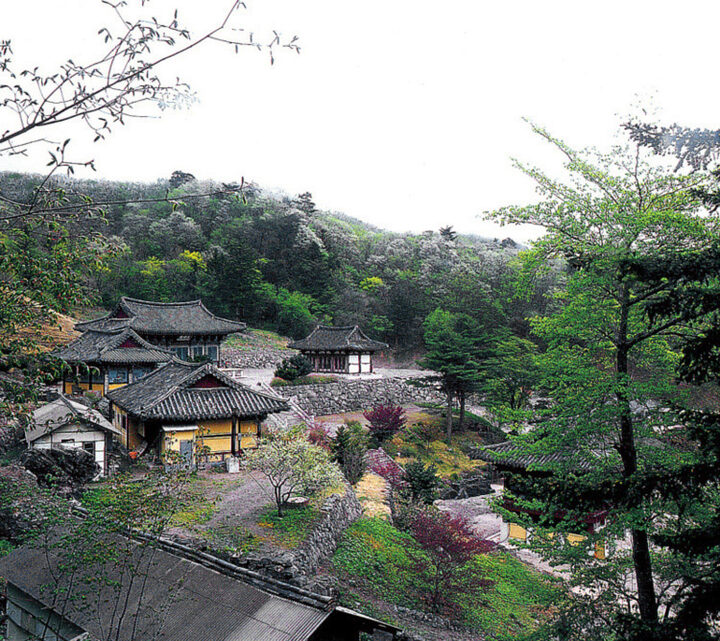 백련사지전경