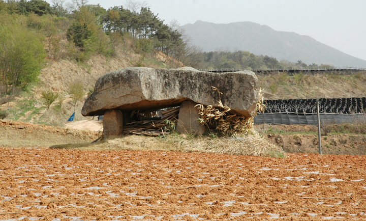 산수리지석묘(1기)