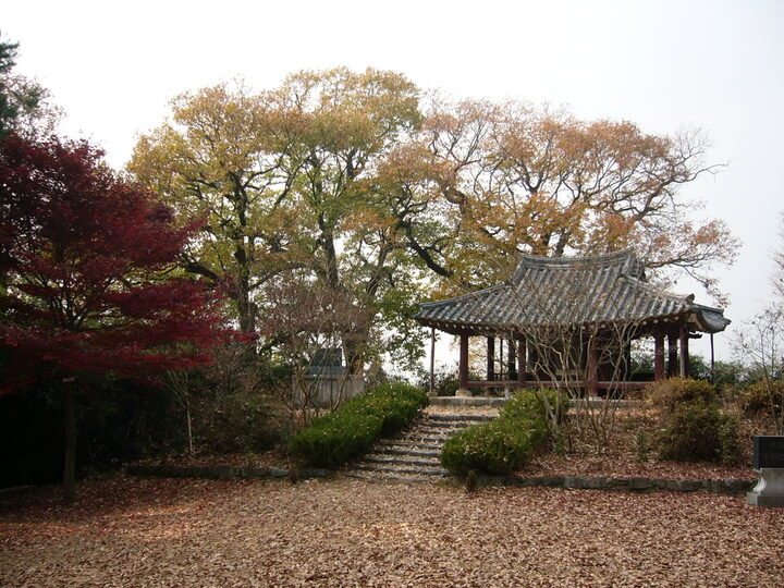 면앙정 전경(가을)
