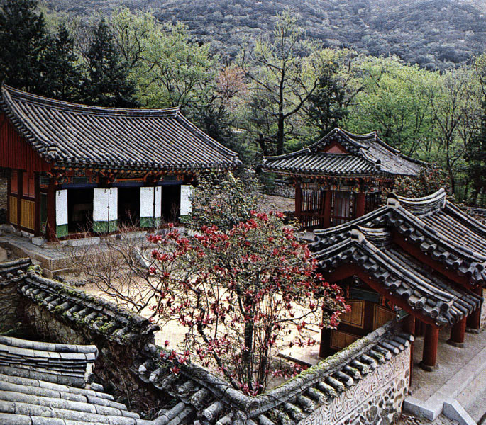 표충사전경