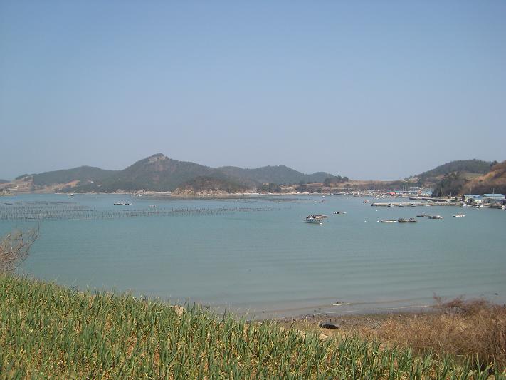 돌산평사리 고니도래지