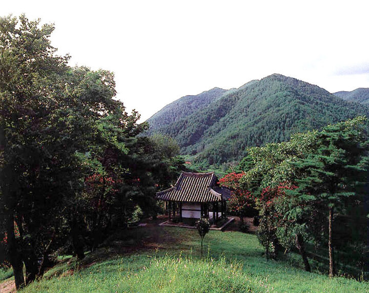 독수정원림