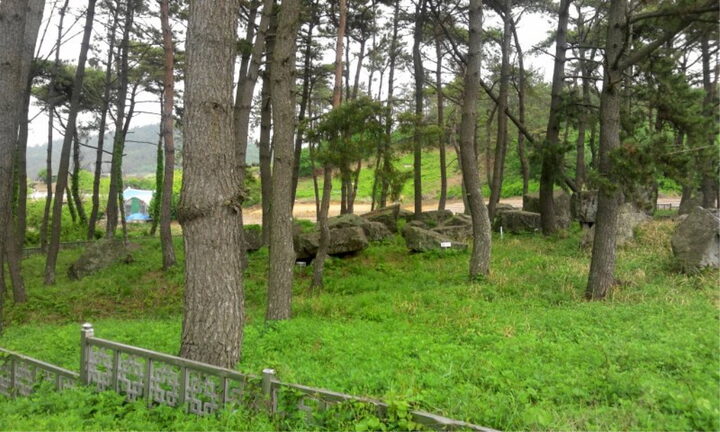 영광 성산리 지석묘군(전경)20120513유성원