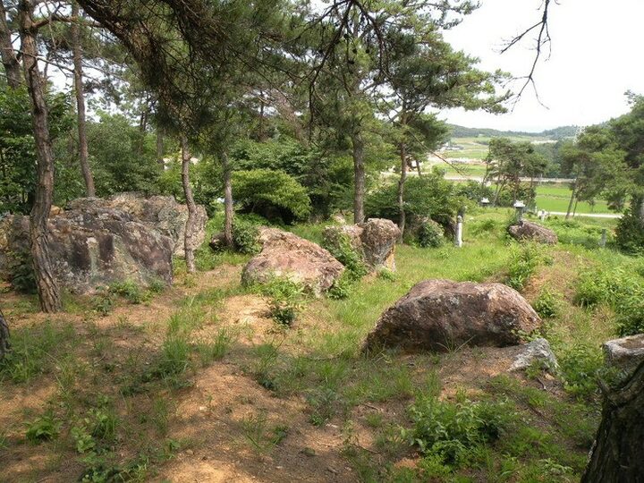 나주 신포리 지석묘군