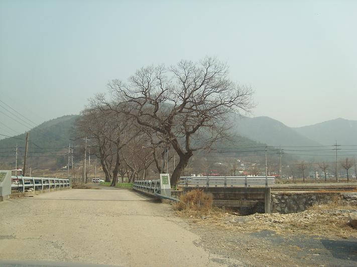 여수 호명동 방재림