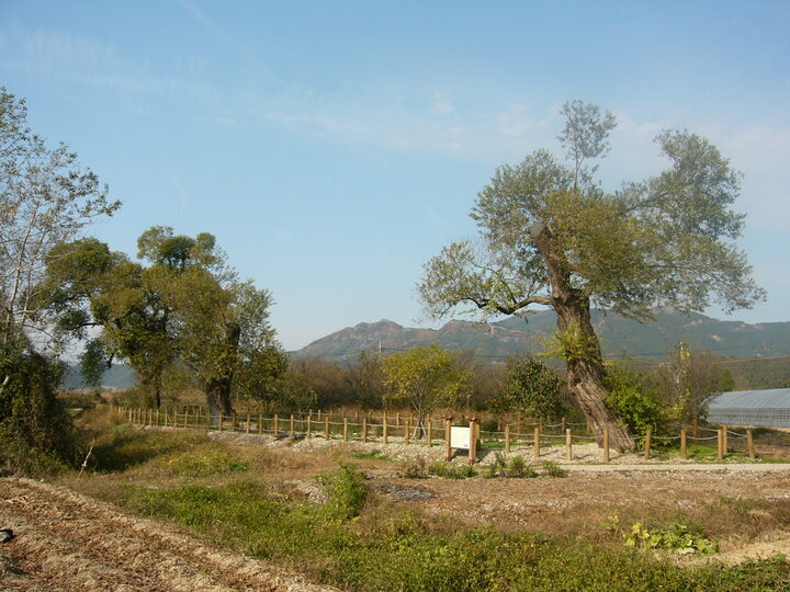 전경