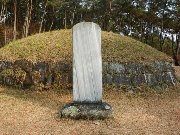 장성 박수량 백비