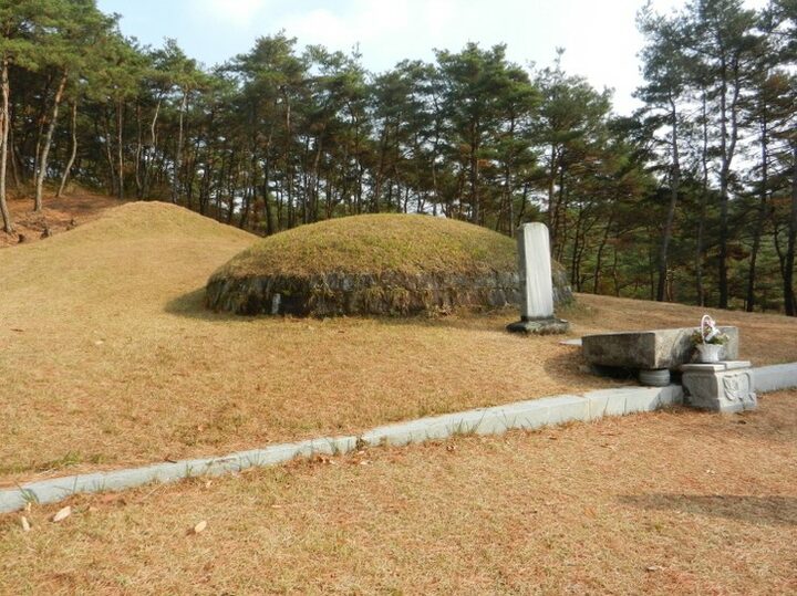 장성 박수량 백비