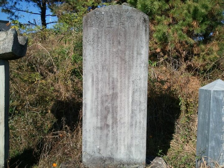 정면