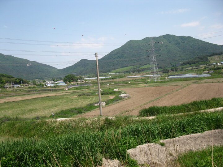 영광 대마 성산리 지석묘군(전경)(유성원)
