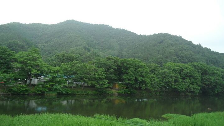 화순동복연둔리숲정이
