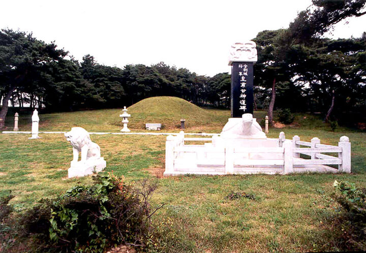 전금강성장군황보능장묘