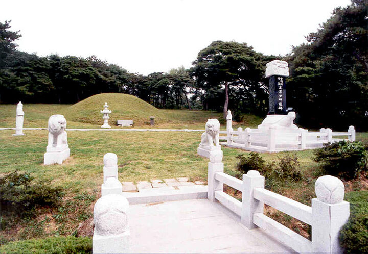 전금강성장군황보능장묘