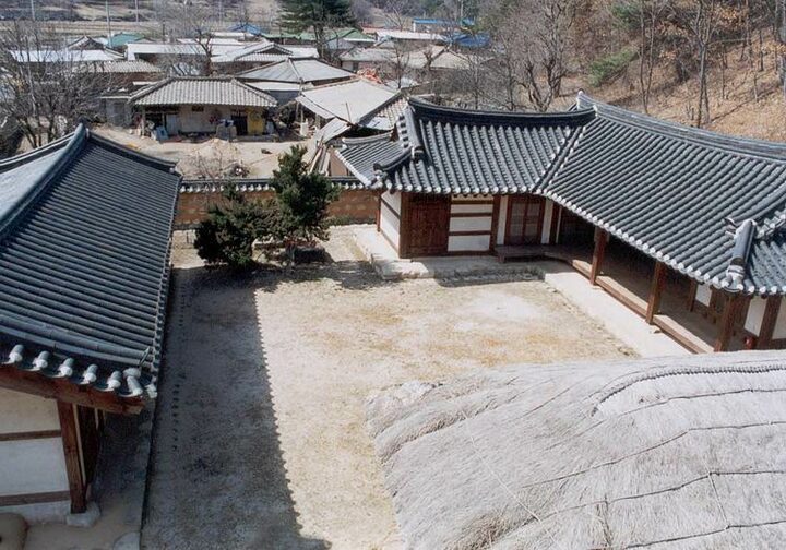 이강년생가지