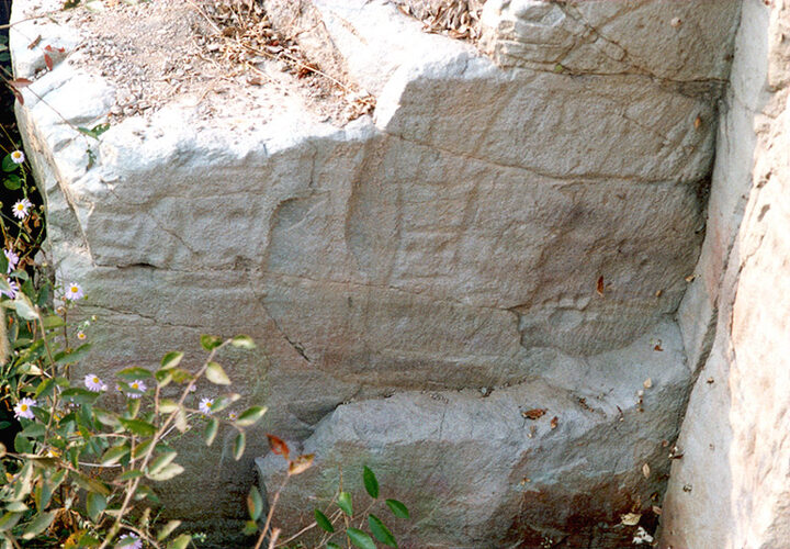 경주석장동암각화