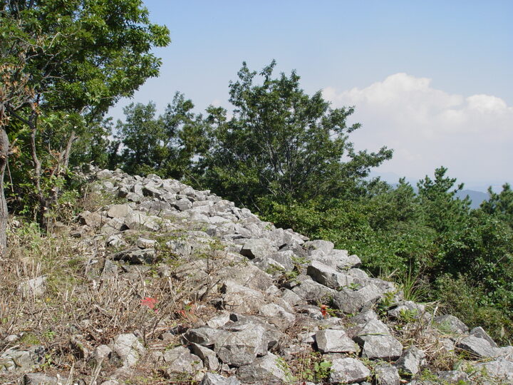 양동산성 근경