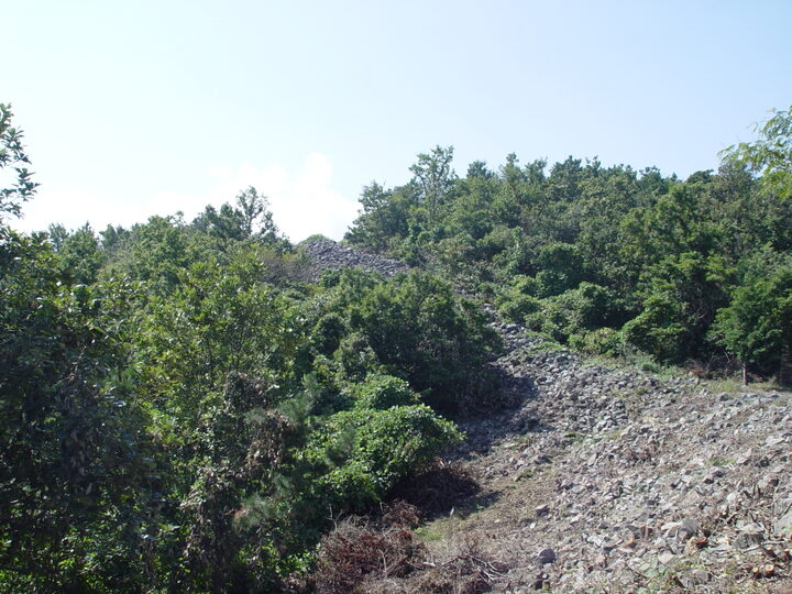 양동산성 원경