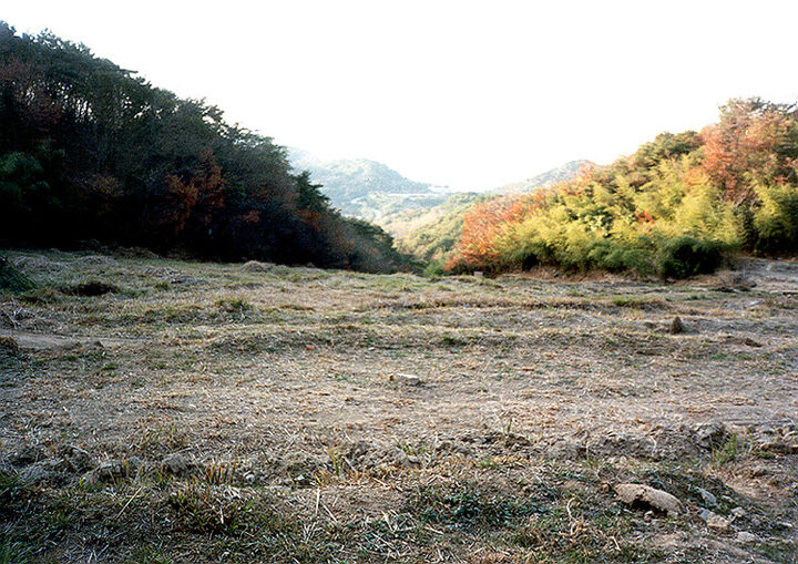 봉림사지전경