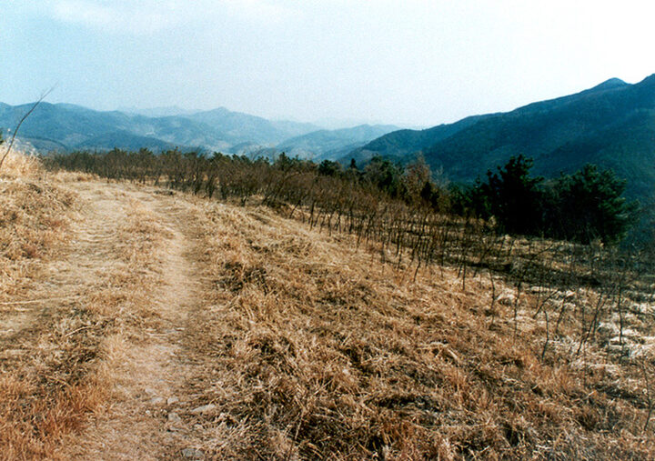 동측성곽부근