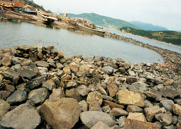 굴강근경