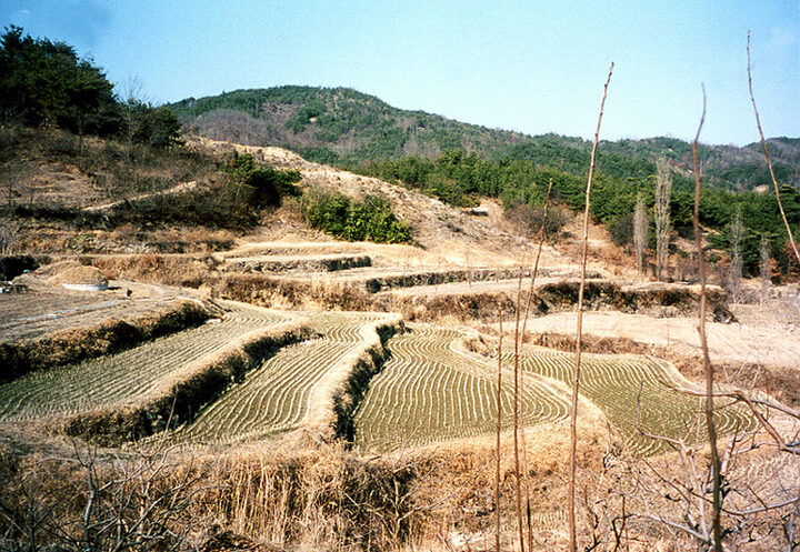 최윤덕장군생가지원경