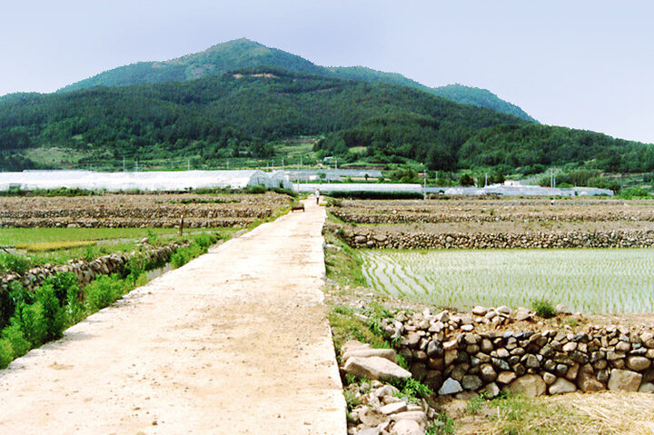 치소지근경