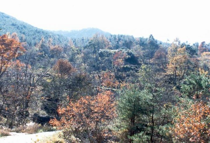 산청왕산사지