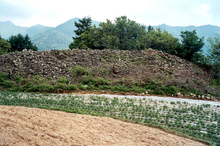 팔령산성