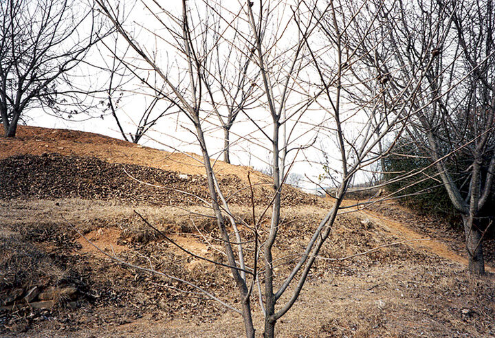 금성토성지전경