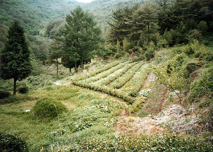 서봉사지전경